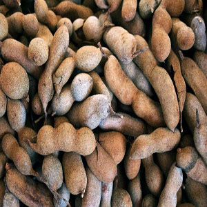 Tamarind